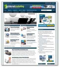 Internet Marketing Niche Blog PLR Template