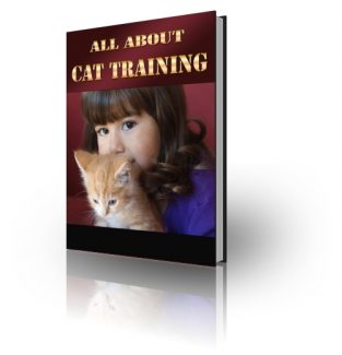 Plr Blowout Package PLR Ebook