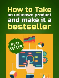 Best Seller PLR Ebook