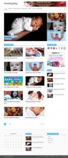 Parenting Niche Blog PLR Template