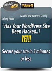 Wp Setup And Security Videos MRR Video