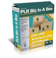 Plr Biz In A Box MRR Article