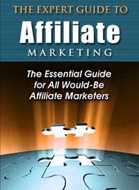 The Expert Guide To Affiliate Marketing PLR Ebook