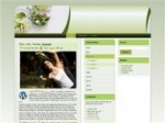 Wordpress Theme Blowout V2 Plr Template