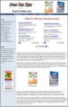 Income Tax Tips Website MRR Template 