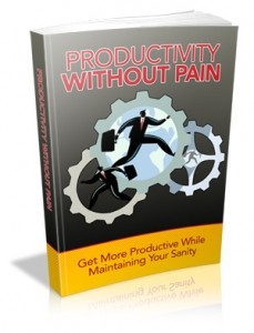 Productivity Without Pain Mrr Ebook