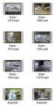 Rivers Streams 4k Uhd Stock Videos Pt 3 MRR Video