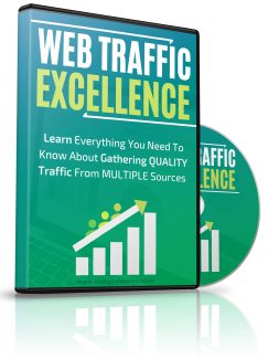 Web Traffic Excellence MRR Video