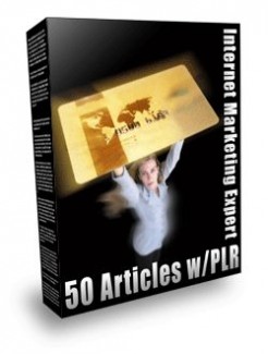 Internet Marketing Expert PLR Article