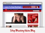 Stop Blushing Niche Wordpress Theme Personal Use Template