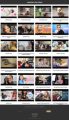 Adopting A Dog Instant Mobile Video Site MRR Software