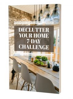 Declutter Your Home 7 Day Challenge MRR Ebook With Audio