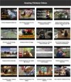 Keeping Chickens Instant Mobile Video Site MRR Software