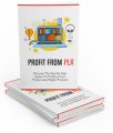 Profit From Plr MRR Ebook