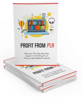Profit From Plr MRR Ebook