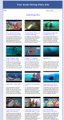 Scuba Diving Video Site Builder MRR Software