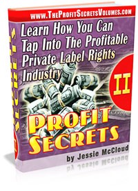 Profit Secrets II Resale Rights Ebook