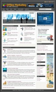 Offline Marketing Niche Site Plr Script