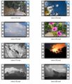 Nature Stock Videos Five - V2 MRR Video