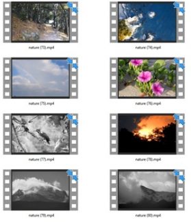 Nature Stock Videos Five – V2 MRR Video
