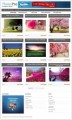 Photopro WordPress Theme Personal Use Template