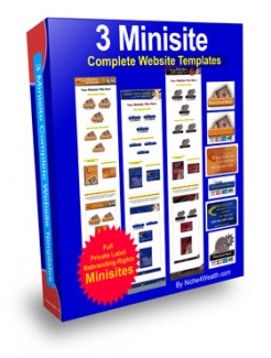 3 Minisite : Complete Website Templates PLR Template