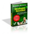 Credit Repair Strategies Revealed V2 PLR Ebook