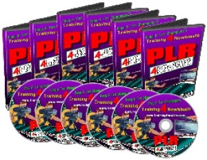 PLR For Newbies Videos Mrr Video