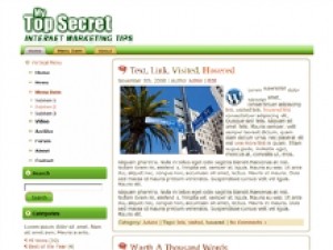 Top Secret WordPress Theme Plr Template
