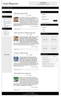 Clean Magazine Responsive Wp Theme PLR Template