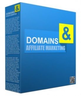 Domains And Affiliate Marketing PLR Audio