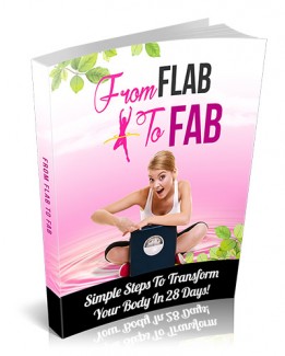 From Flab To Fab MRR Ebook
