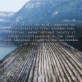 Health Video Quote 29 MRR Video With Audio