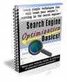 Search Engine Optimization Basics Newsletter PLR ...