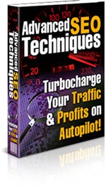 Advanced Seo Techniques PLR Ebook