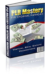 PLR Mastery Mrr Ebook