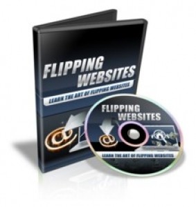 Flipping Websites Videos Resale Rights Video