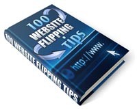 100 Website Flipping Tips PLR Ebook