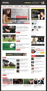 Betting Niche Blog Personal Use Template