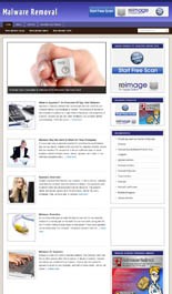 Malware Niche Blog Personal Use Template With Video