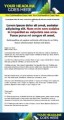 Minisite Template PLR Template 