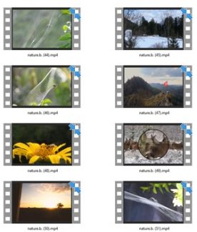 Nature Stock Videos Three – V2 MRR Video