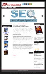 Seo Niche Blog PLR Template