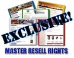 85 Niche Sites With Admin Areas V2 MRR Template