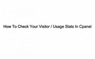 How To Check Your Usage Stats In CPanel Plr Video