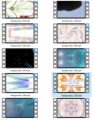 Backgrounds Stock Videos Six - V2 MRR Video