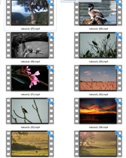 Nature Stock Videos Five – V2 MRR Video