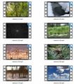 Nature Stock Videos - V2 MRR Video