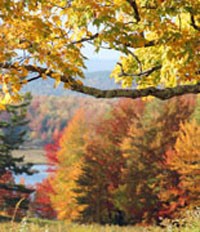 New England Foliage 2013 Personal Use Graphic