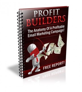 Profit Builders Personal Use Ebook